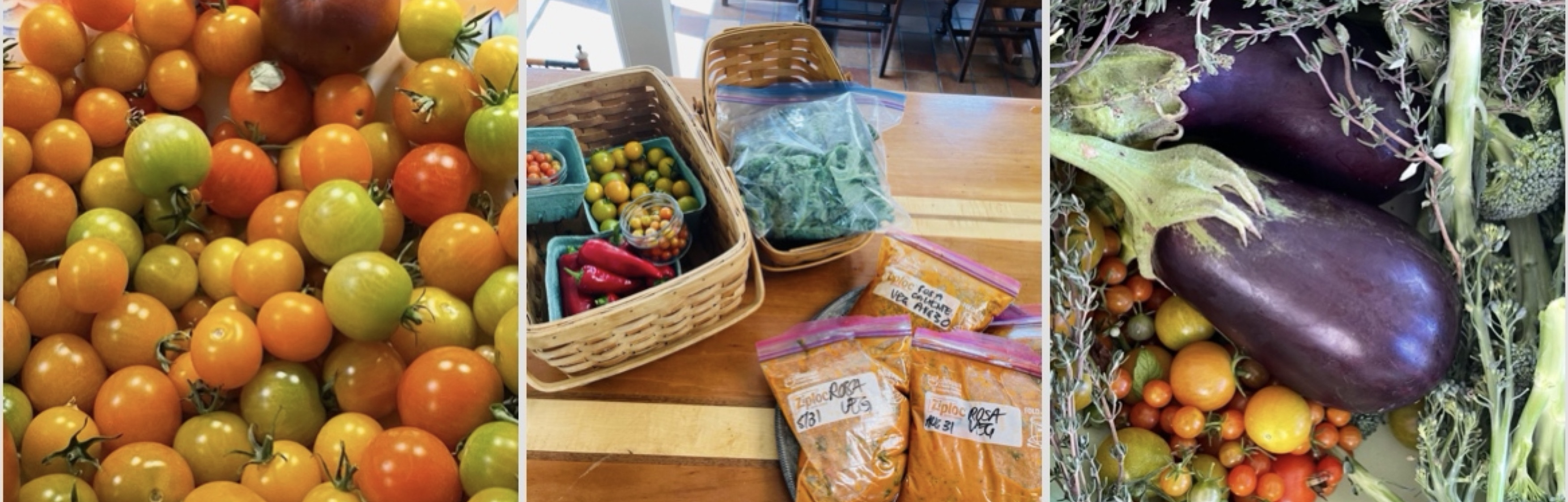 tomatoes, eggplant and basket w more veggies