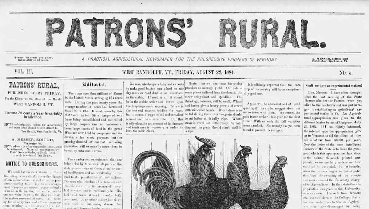 Cover of Patrons Rural