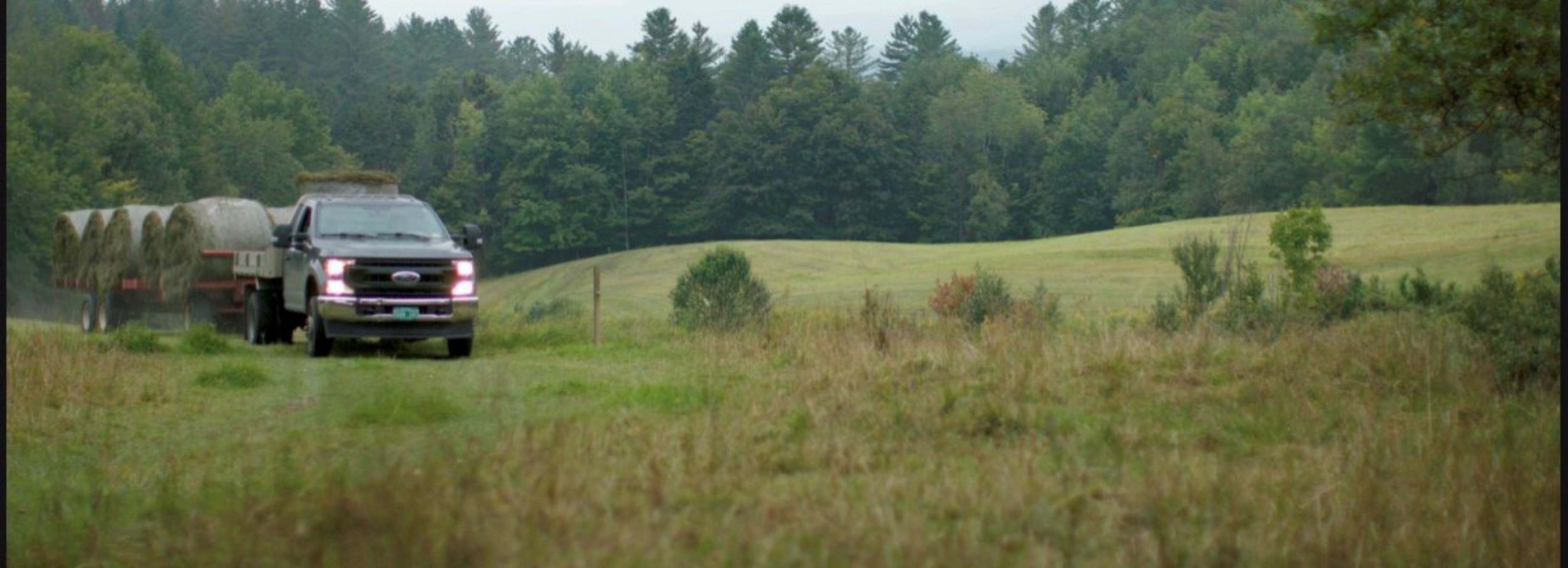 farm